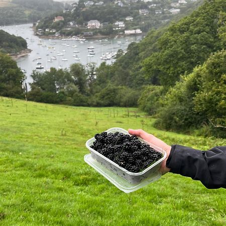 Pilchards Cottage Noss Mayo ภายนอก รูปภาพ