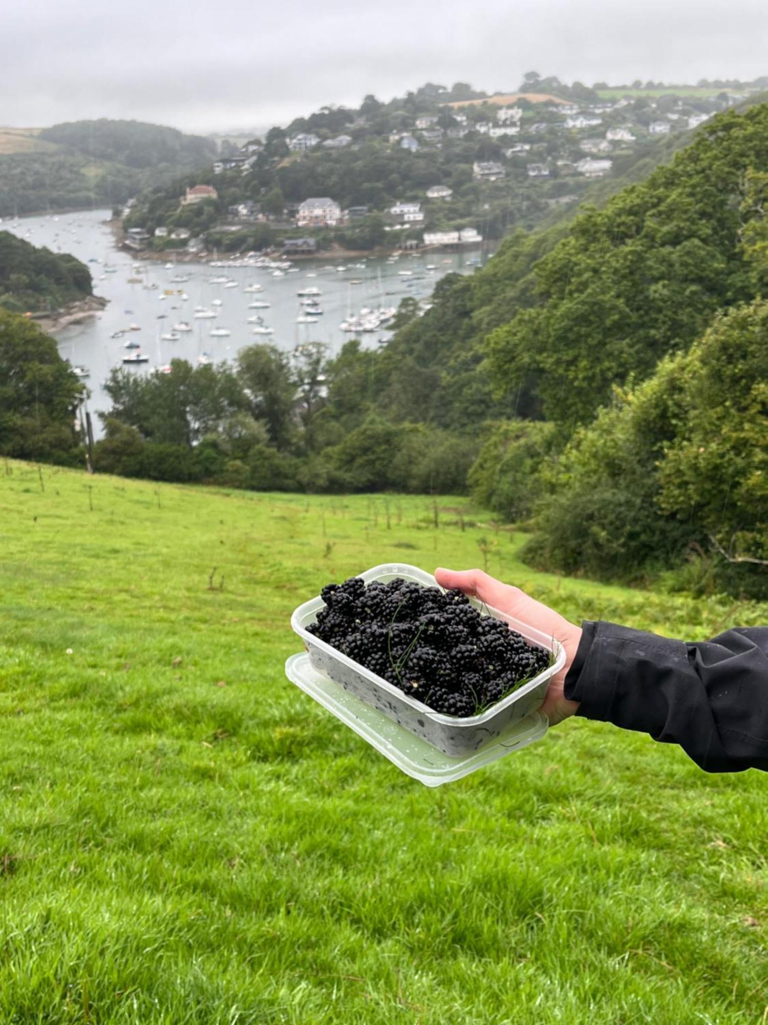Pilchards Cottage Noss Mayo ภายนอก รูปภาพ